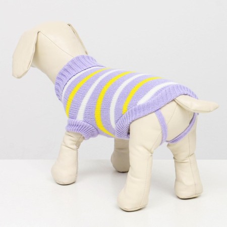 Sweater "stripes", s (DS 23, Osh 23, OG 26-45 cm)-2