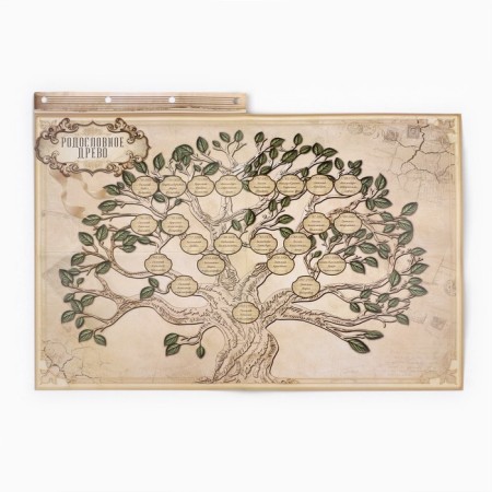The genealogy book "Our Rod", 65 sheets, Bordeaux, 35 x 23.5 cm-25
