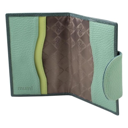 Cover for passport, green color-1