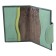 Cover for passport, green color