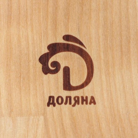 Menzhitsa rectangular shade, 18 × 10 cm, 2 sections, birch, saturated with oil-5