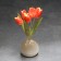 Souvenir "Tulips in a vase" (5 central c.) Round, selenite, small (red)