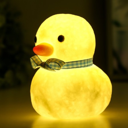Night "Duck" LED 1W from 3XAG10 batteries white-blue 10x8x11 cm Risalux-2