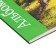 A4 watercolor album, 10 sheets on the tear -off gluing "Native Spaces", hard substrate, matte lamination, embossing, block 200 g/m2