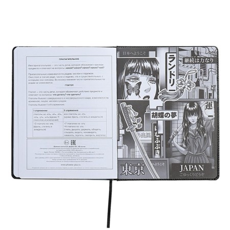 Universal Diary Grade 1-11, 48 sheets "Girl", hard cover of artificial leather, lies, universal cheat sheet, block 80 g/m2-11