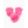 18 soap roses with an inscription in a box