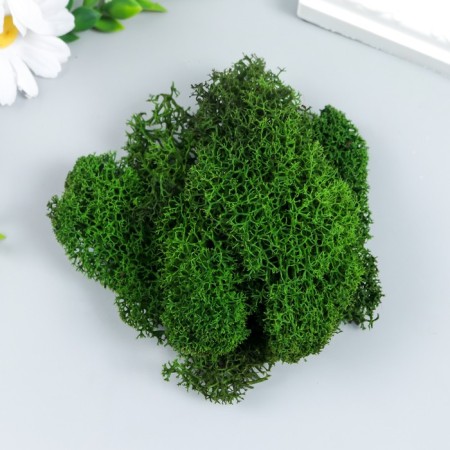 Moss stabilized "nettle" 45 grams (+-5 gr)-1