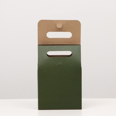 Box package with a pen, green, 19 x 14 x 8 cm-1
