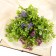 Bouquet "Alissum with Ostrim" 29 cm, mix