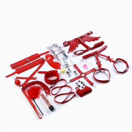 Erotic set of BDSM OKI-FCHE "100% orgasm", 27 objects, red-12
