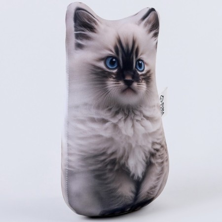 Antistress toy "Kotik Ragdoll"-2