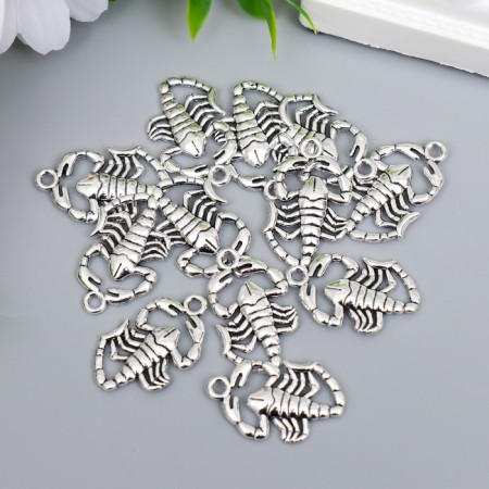 Decor Metal for creativity "Scorpio" silver 4304 2.5x1.5 cm-2