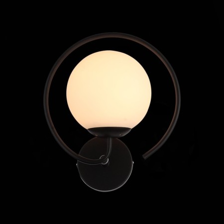 Wall lamp EVOLUCE. SL418.401.01. Galio. 1x60 W, E27, 30x23 cm, black color-6