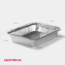 A set of foil for baking and baking shares, 1.04 l, 22.5 × 18 × 4.5 cm, 2 pcs