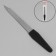 Metal file for nails, rubberized pen, 12 cm, silver/black color