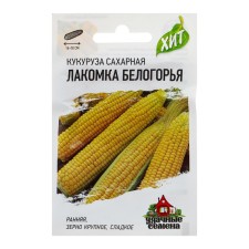 Sugar corn 