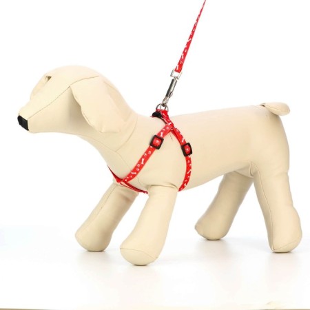 Set "Classic", Kapron, leash 120 x 1 cm, fire 21-35 cm, red-1