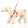 Set "Classic", Kapron, leash 120 x 1 cm, fire 21-35 cm, red