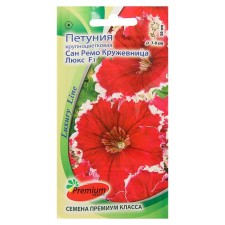 Flowers of Petunia Flowers Large -flowered San Remo lace F1, o, 10 pcs