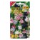 Flower flowers "Fruit cocktail", 0.015 g