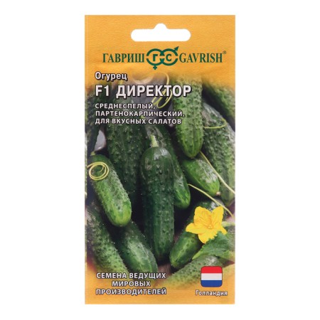 Seeds of the cucumber "Director", F1, Dutch Sellex, 5 pcs