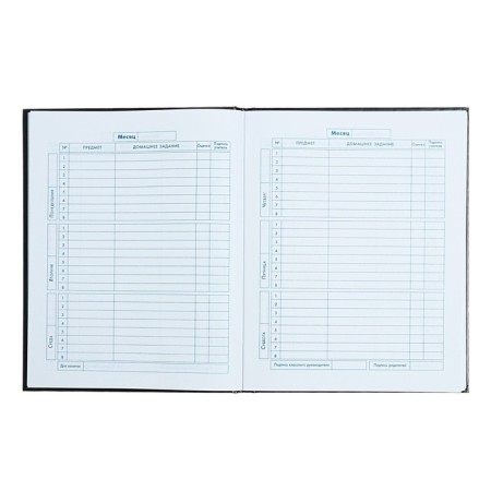 School diary for grade 1-4, 48 sheets "Racing", hard cover, glossy lamination, universal cheat sheet, block 65 g/m2-7