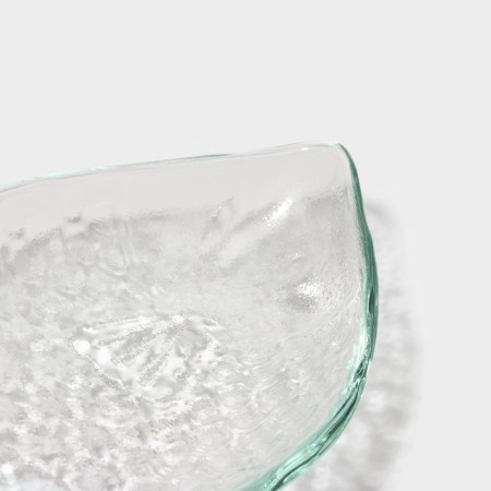Glass Serving Magistro Glass "Avis. Fish ", 14 × 8 × 2.7 cm-4