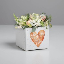 Gift folding box, packaging, 