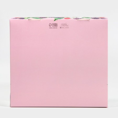 Confectionery box with PVC lid, packaging, “berries”, 25 x 22.5 x 10 cm-4