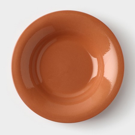 SUPOL plate, 500 ml, d = 22 cm, h = 4.5 cm-1
