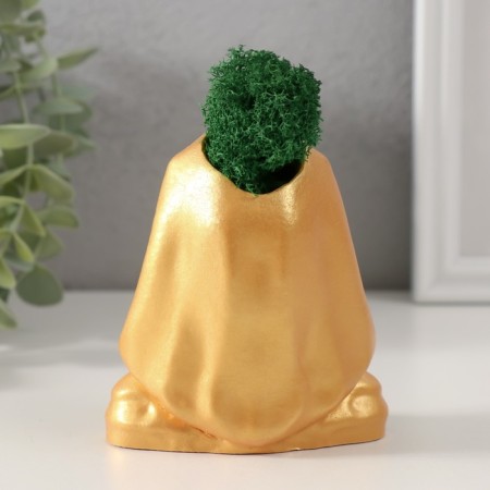 Kashpo concrete "Skeleton of the pharaoh" with moss 10*8.5cm gold (moss green stabilized)-2