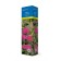 Japanese spirea (Northern Garden series) "Chrispa" 1 pc, tube, spring 2025