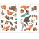 Forest animals. Summer