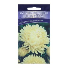 Flower seeds Astra Pionovid 