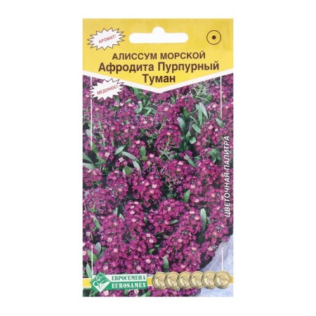 Flowers Alissum Sea Aphrodite Purple fog, 0.02 g