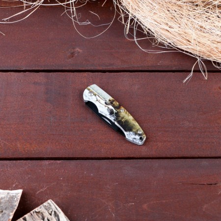 Folding "Bear on Hunting" 12.6cm, blade 70mm/2.3 mm-2