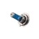 Car lamp Xenite H7 (PX26D) Super White, 2 pcs