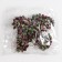 Decorative berries, 7 × 6 × 7 cm, 40 berries