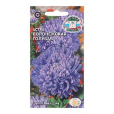 Flowers of Astra 
