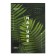Notebook A4, 96 sheets in the "World of Travel" line, cover coated cardboard, glossy lamination, block offset, mix
