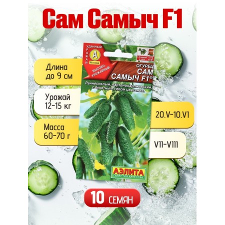 Set of seeds Early Self -Self -pollinated cucumbers-4