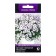 Flowers of Petunia Hybrid "Pendolino Violet Ice" (Semen Profi), 5pcs