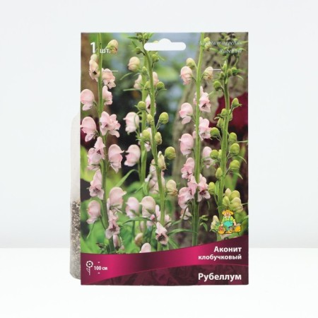 Aconit Klobuchka Rubellum, Rr. I, 1 pc, spring 2025