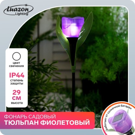 Garden lamp on the solar battery "Violet Tulip", 4.5 × 29 × 4.5 cm, 1 LED, glow white