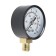 Manometer Zein, radial, body diameter 50 mm, 16 bar, 1/4 "