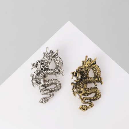 Brooch "Dragon" (indivisible packing 12 pcs., Price per pcs.), Mix color