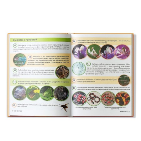Encyclopedia "200 Facts about animals", 48 p.-3