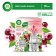 AirWick flavores have a set, with a replaceable bottle "Blooming Cherry", 19 ml