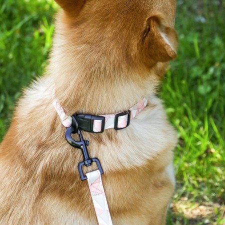 Set "Rombs", fastener - fastx, leash 2 m and collar 28-46 cm-13