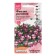 Flower seeds violet "Lilak Rose", 5 pcs